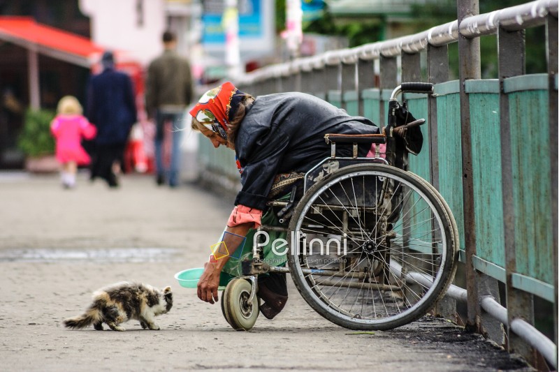 UZHGOROD - JULY 20 : disabled female beggar trying to feed a cat July 20, 2008 in Uzhgorod, Ukraine. Disabled female beggar in a wheelchair try to feed a cat, while a family passed by, thus shows a humanity standards of a modern society