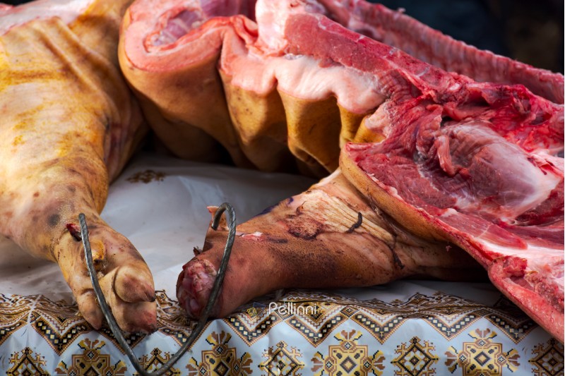 Hecha, Ukraine - JAN 27, 2018: Pork butchers competition. carcass lay on the table. preparing for festival at night