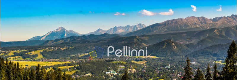 panorama; mountain; tatra; peak; high; landscape; meadow; nature; tree; spruce; poland; forest; tourism; europe; zakopane; hill; summer; forest; panoramic; wide; slope; green; sky; cloud; peak; view; blue; grass; spectacular; beautiful; top; travel; hiking; scene