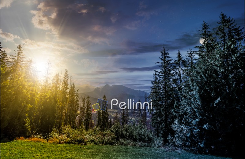 day and night time change concept. Spruce forest on a meadow in High Tatras mountain ridge. Beautiful sunny day in Poland Countryside 