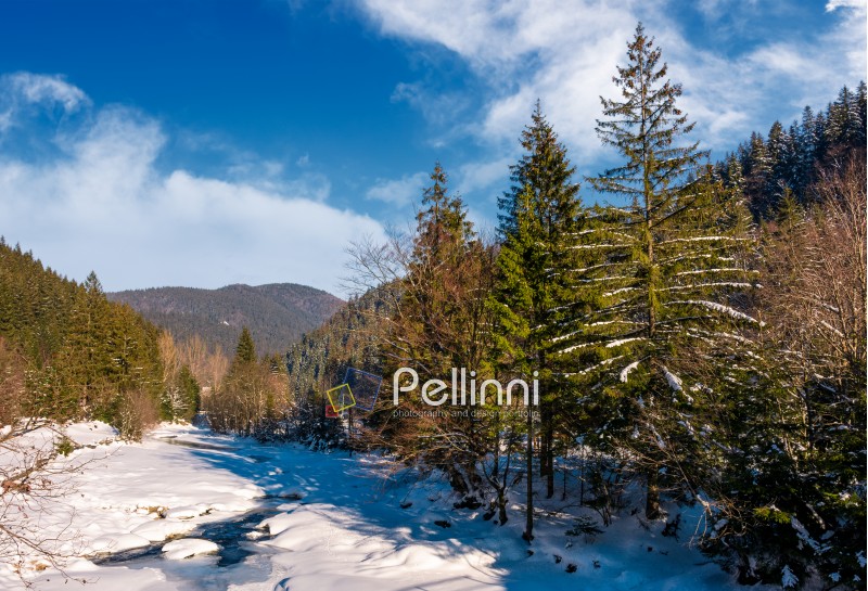 Tereblya river of Carpathian mountains in winter. Beautiful scenery in rural part of Synevir National park