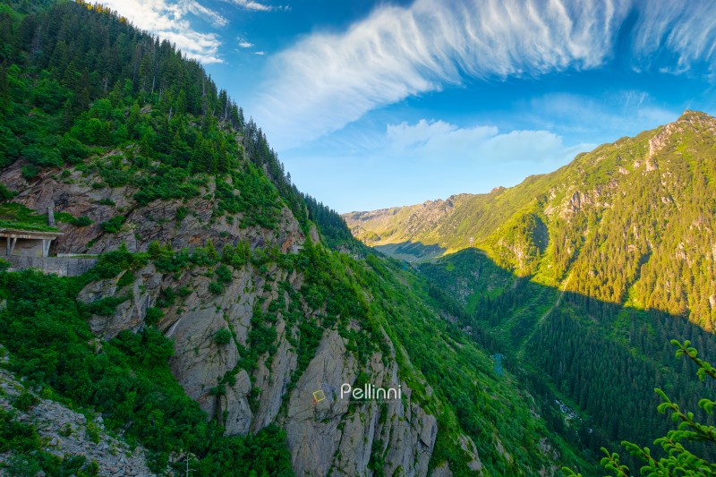 Valley in summer mountains. Gorgeous mountainous landscape of Carpathians. Rocky cliffs and forested slopes under blue sky. Scenery of Fagaras ridge of Southern Carpathian mountains of Romania, Sibiu