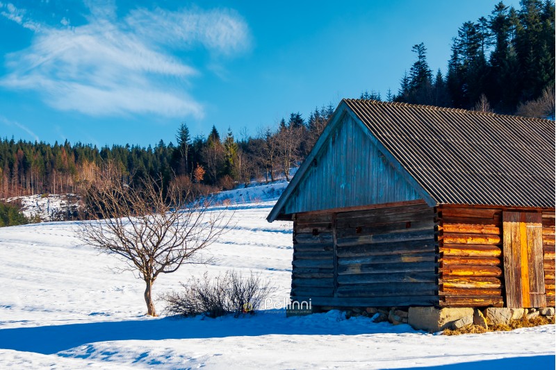 abandoned barn in Carpathian mountains. beautiful sunny winter weather