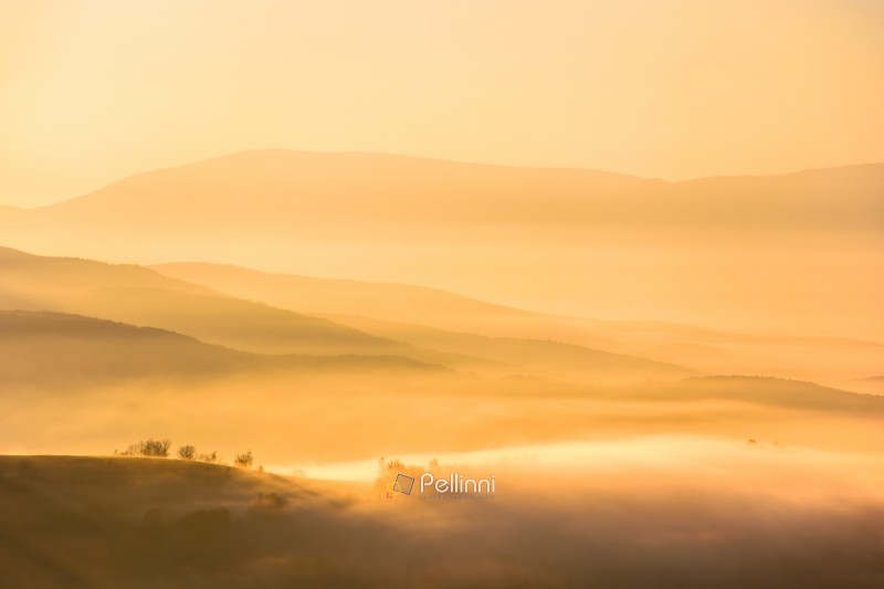 abstract landscape of carpathian mountains in autumn fog at sunr abstract landscape of carpathian mountains in autumn fog at sunrise. beautiful view over the perechyn valley. rolling hills of ukraine in sea of golden light and mist. atmospheric phenomenon photo