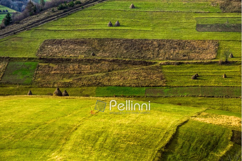 field; mountain; landscape; green; nature; grass; land; autumn; hay; agriculture; beautiful; rural; hillside; meadow; countryside; hill; blue; tree; season; country; haystack; outdoor; valley; scenic; sunrise; fresh; early; vivid; light; bright; majestic
