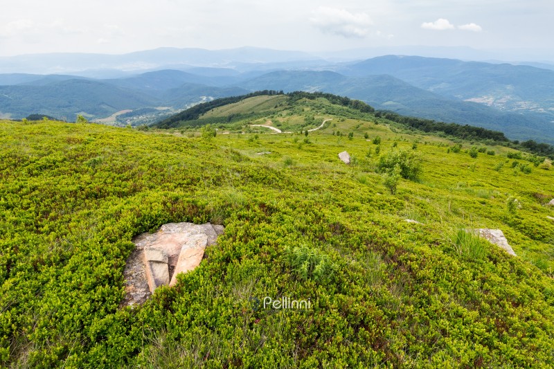 alpine landscape of polonyna smooth on a cloudy day. stones among grass on the slope. treacherous summer weather in carpathian mountain of ukraine beneath an overcast sky. hiking grassy alps