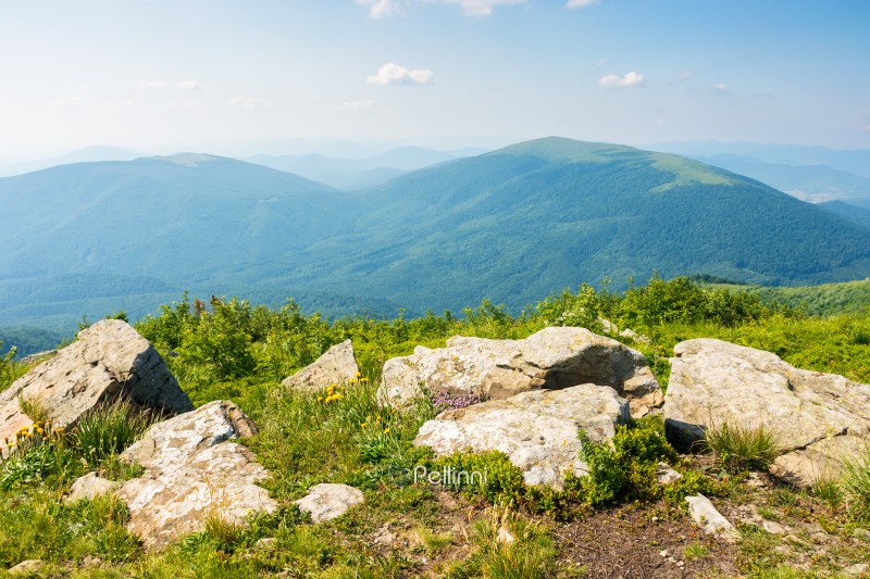 alpine meadows of carpathian mountain smooth also called runa. vacation season. grass and stones on the edge of a hill in summer. view in to the distant valley on a sunny afternoon with clouds on the sky