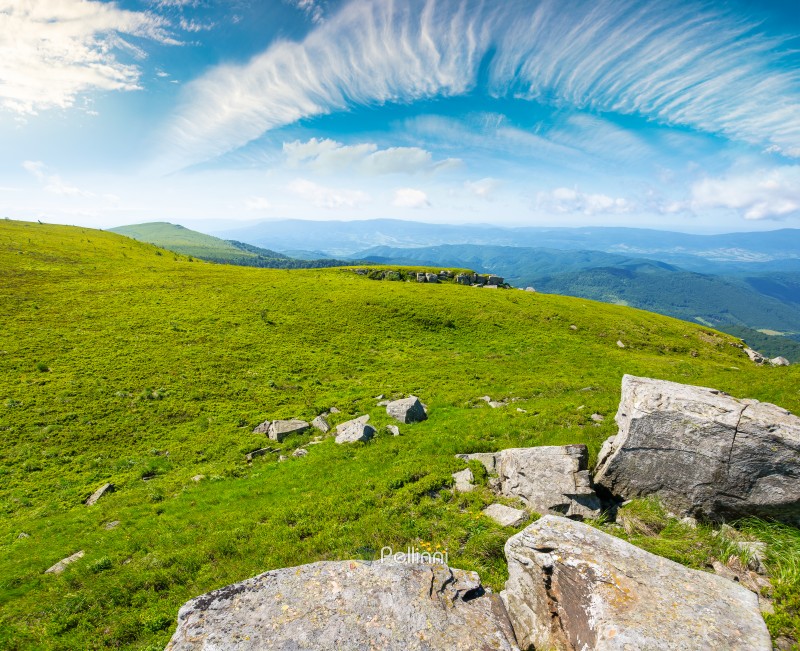 alpine mountain landscape. untouched grass and sharp sandstone on wide meadow. travel background for hiking carpathian alps in summer. temperate climate of transcarpathia. rolling earth day wallpaper