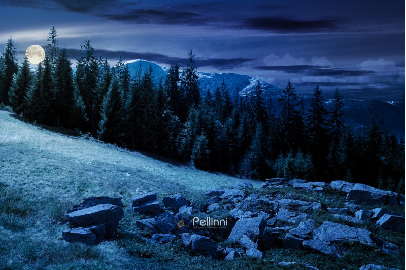 alpine summer landscape composite at night in full moon light. rock formation near the spruce forest on a grassy hill.  mountain with snowy top in the distance. springtime meets summer concept