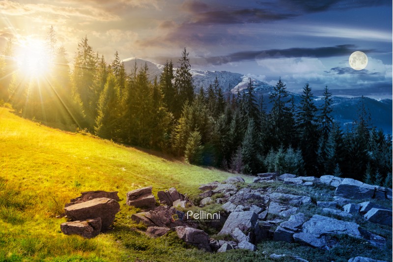 alpine summer landscape day and night time change composite. rock formation near the spruce forest on a grassy hill.  mountain with snowy top in the distance. springtime meets summer concept