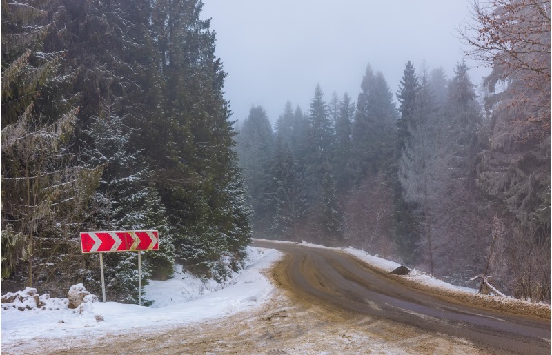 asphalt road through spruce forest in fog. transportation winter background with road sign