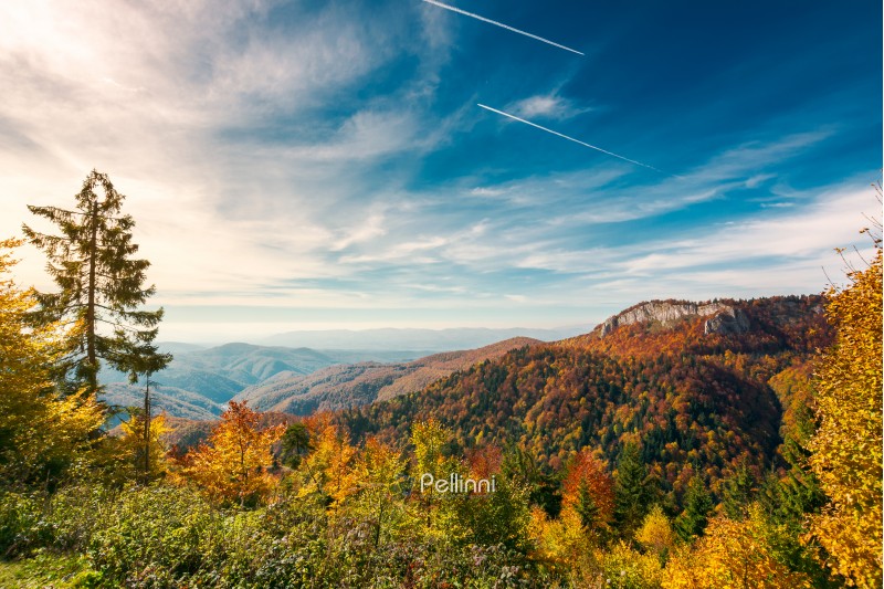 gorgeous autumn landscape in mountains of Romania. cliff above the forest in fall color. beautiful view in evening light with blue sky