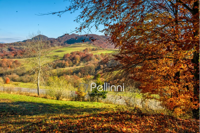 autumn; landscape; mountain; fall; forest; tree; sky; colorful; foliage; field; background; nature; meadow; beautiful; garden; weather; sky; countryside; wood; season; plant; environment; park; outdoor; leaf; beauty; natural; view; grass; yellow; vivid