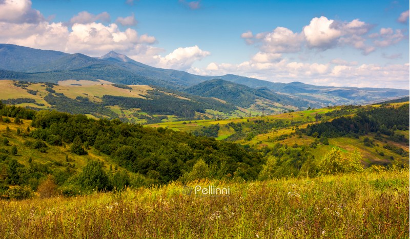 autumnal countryside of Carpathian mountains. forested hills and magnificent Pikui peak of Carpathian dividing ridge in the distance. lovely nature scenery with some cloudy formations