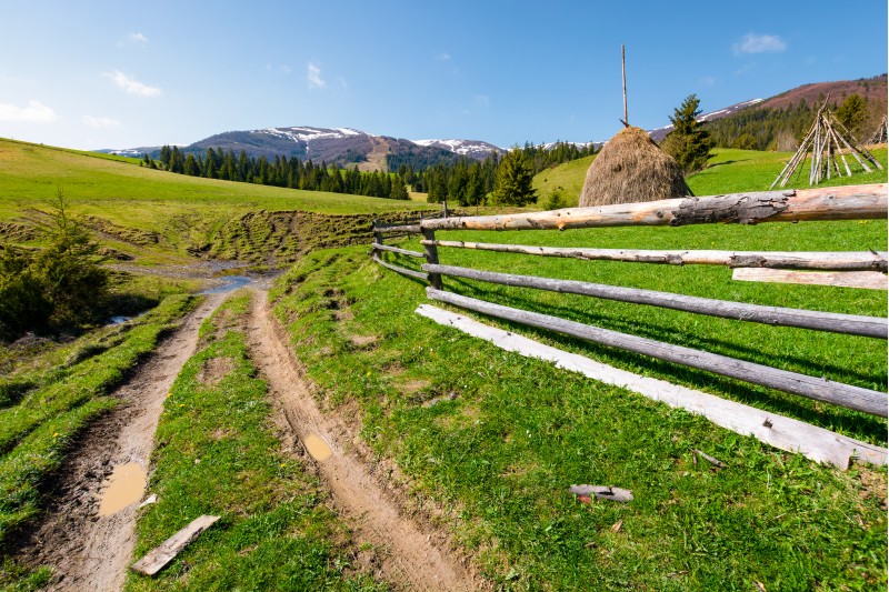 beautiful Carpathian countryside in springtime. dirt road down the hill and haystack behind the wooden fence. mountain ridge with snowy tops in the distance