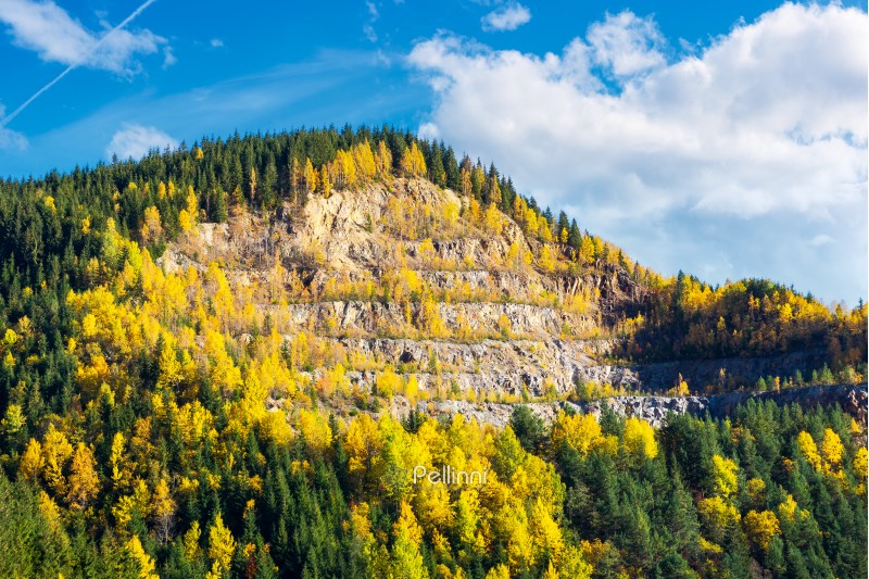 beautiful autumn background. forested hills in evening. rock quarry on hillside