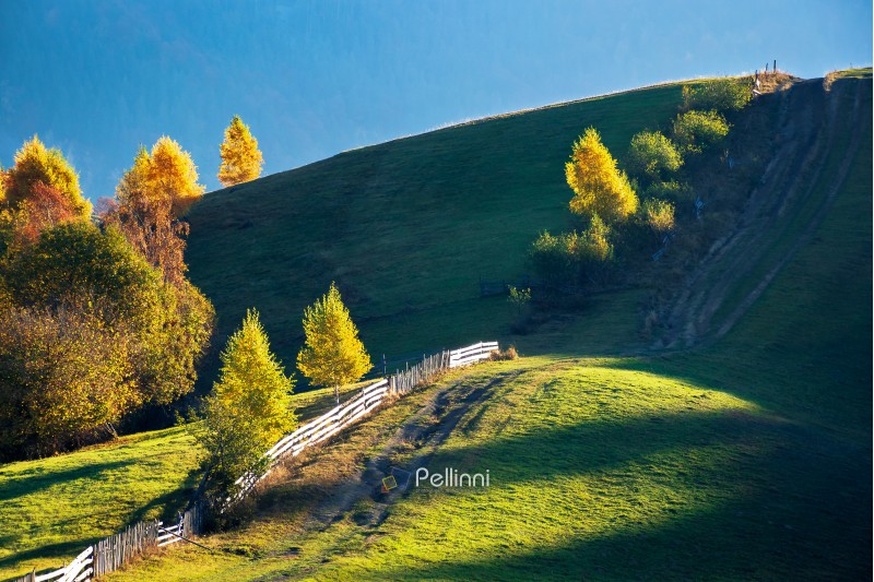 beautiful autumn countryside in mountains. wooden fence along the road uphill. drop of light on the green grassy meadow. carpathian rural area. beautiful sunny forenoon