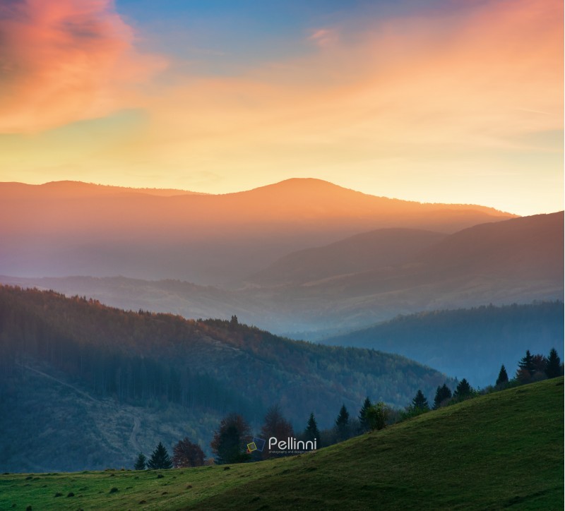beautiful autumn scenery in mountains at sunset. red clouds on the sky, blue shade in the mountains, grassy green meadow.