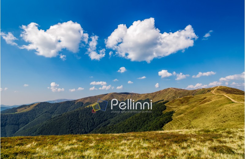 beautiful clouds on a blue sky over mountain ridge with grassy meadows and green forests
