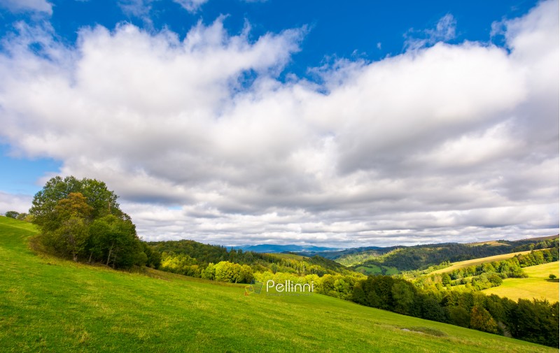 beautiful cloudy sky over the forested hills. wonderful nature of Carpathians in early autumn