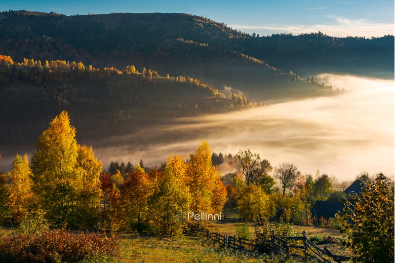 beautiful countryside in autumn at sunrise. trees in colorful foliage. fog in the valley above the village