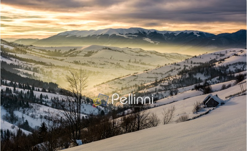 beautiful countryside in mountains at sunrise. village and rural fields on hillsides of valley covered with snow shine in morning light