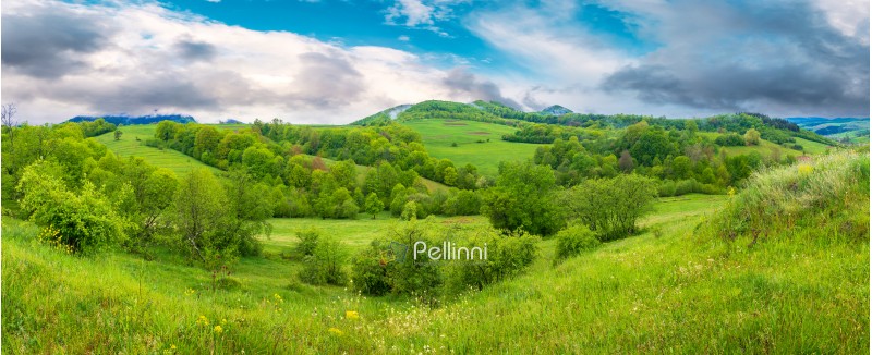 beautiful countryside panorama in springtime. grassy hills and meadows. trees with green foliage on hillsides. mountain top in the distance. wonderful nature scenery of Carpathians