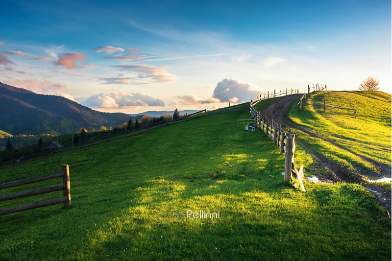 beautiful countryside scenery in mountains. fence on the grassy field. country road uphill the knoll. wonderful springtime weather at sunset with reddish clouds