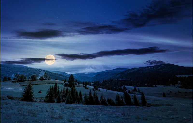 beautiful countryside summer landscape at night in full moon light. spruce trees on a rolling grassy hills at the foot of Borzhava mountain ridge. Fine weather with some clouds on a blue sky