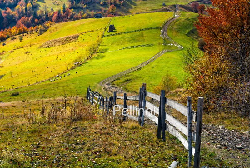 beautiful deep autumn countryside scene. wooden fence near the path through rural fields on hills in Carpathian mountainous area