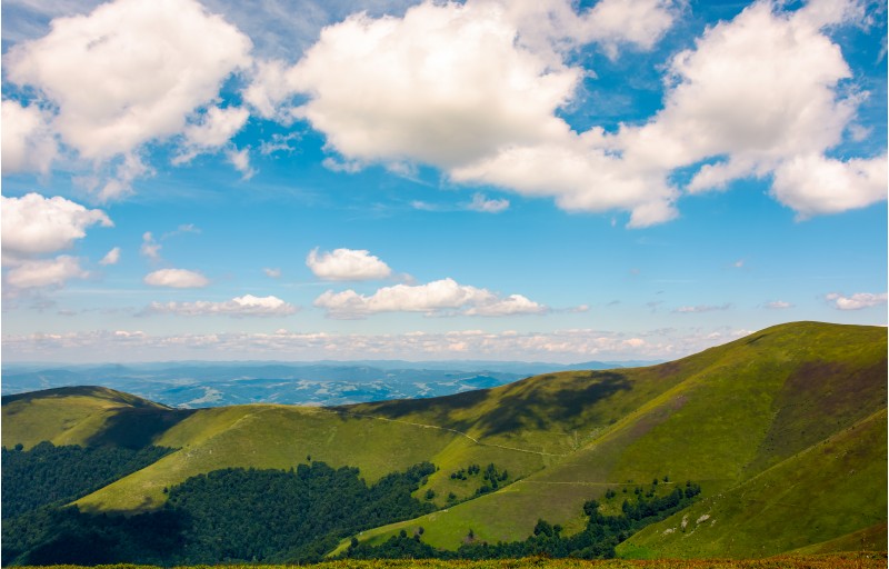 beautiful landscape of Carpathian mountains. grassy hills of Borzhava ridge under the blue sky with fluffy clouds