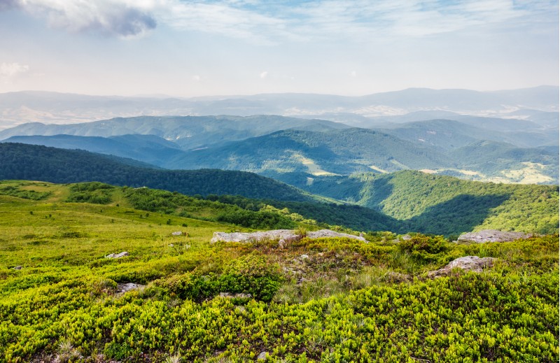 beautiful landscape of Carpathian mountains. rolling hill with huge boulders among the green grass in summrtime