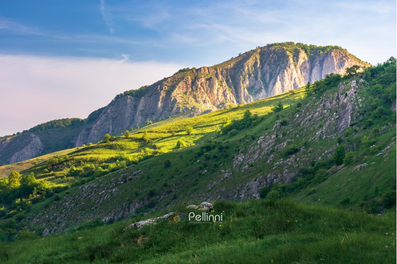 beautiful landscape of romania mountains. springtime nature at sunrise. distant cliff in morning light