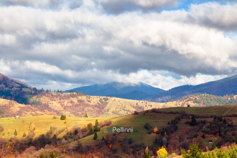 beautiful mountain countryside landscape in autumn. sky with clouds. picturesque nature of ukraine alps and woods. sunny day. tranquil wallpaper with remote alpine hillside