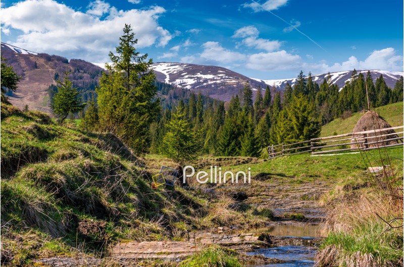 beautiful mountainous countryside in springtime. trees and wooden fence on hillside near the small brook. spruce forest at the foot of the mountain ridge with snowy tops