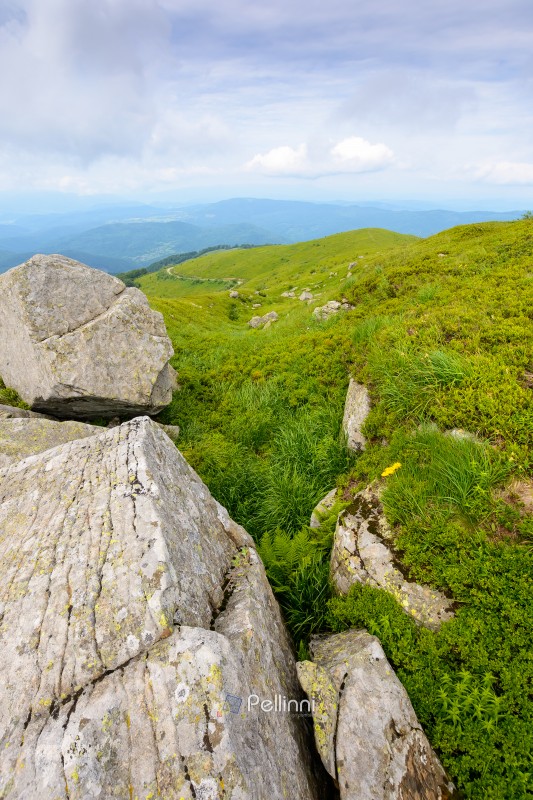 beautiful nature in mountain of ukraine on a cloudy day. hiking environment with rock and grass on the hills. view from the top in to the distant valley