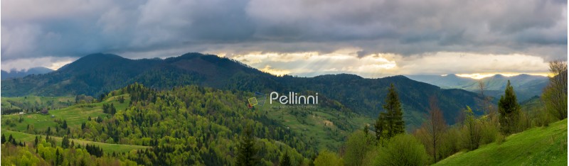 beautiful panorama of mountainous countryside. wonderful springtime landscape. forested rolling hills. overcast sky with sun rays in the distance