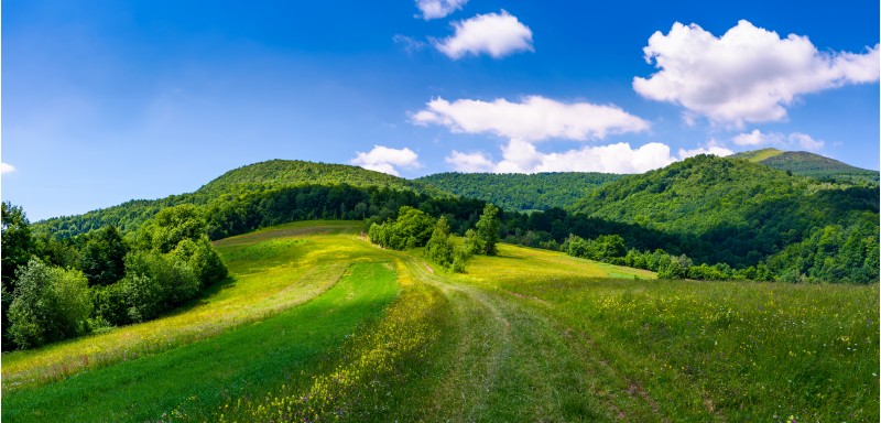 beautiful panorama of mountainous countryside. lovely summer scenery in fine weather condition. rural fields at the edge of a forest on hillside. road down the hill in to the distance