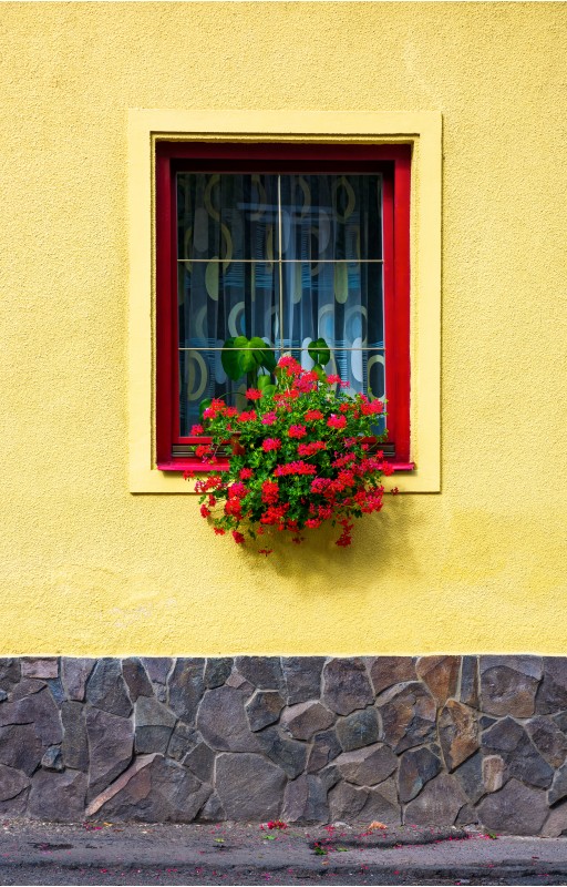 beautiful red flowers on the wall. lovely architecture element