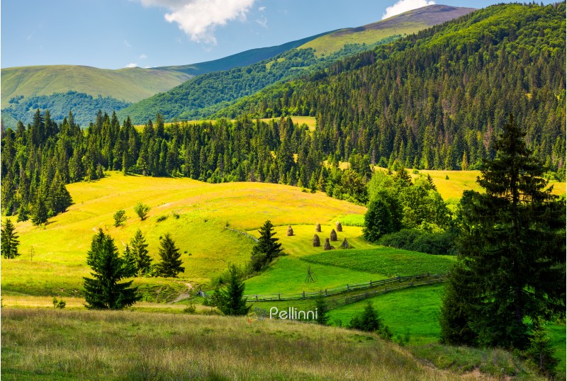 beautiful rural scenery in mountains. haystack on the grassy agricultural fields among the spruce forest on the hills