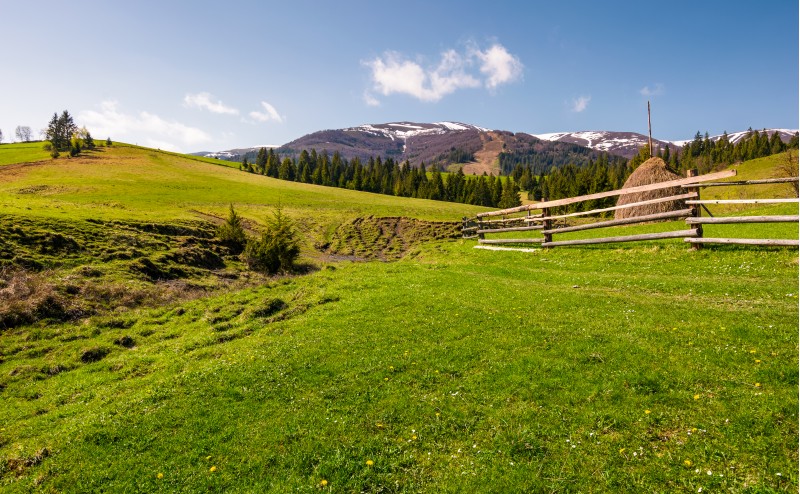 beautiful rural scenery in springtime. wooden fence and haystack on a grassy hillside at the foot of Borzhava mountain ridge with snowy tops.