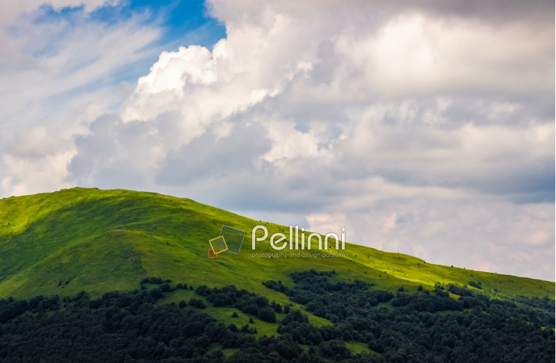 beautiful summer landscape in mountains. fine weather with blue sky and clouds. gorgeous travel background