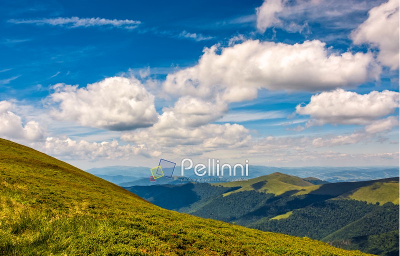 beautiful summer landscape in mountains. fine weather with blue sky and some clouds. gorgeous travel background