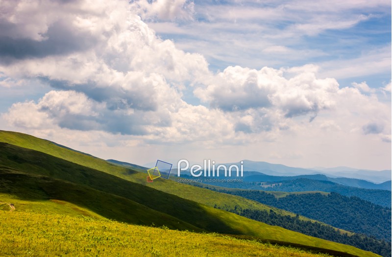 beautiful summer landscape in mountains. fine weather with blue sky and some clouds. gorgeous travel background