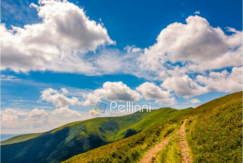 beautiful summer landscape in mountains. fine weather with blue sky and some clouds. gorgeous travel background with footpath through the mountain ridge