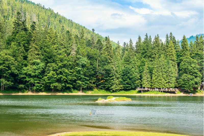 beautiful summer scenery of the synevyr lake. pier among the coniferous forest on the shore. popular travel destination of carpathian mountains. sunny weather with cloudy sky