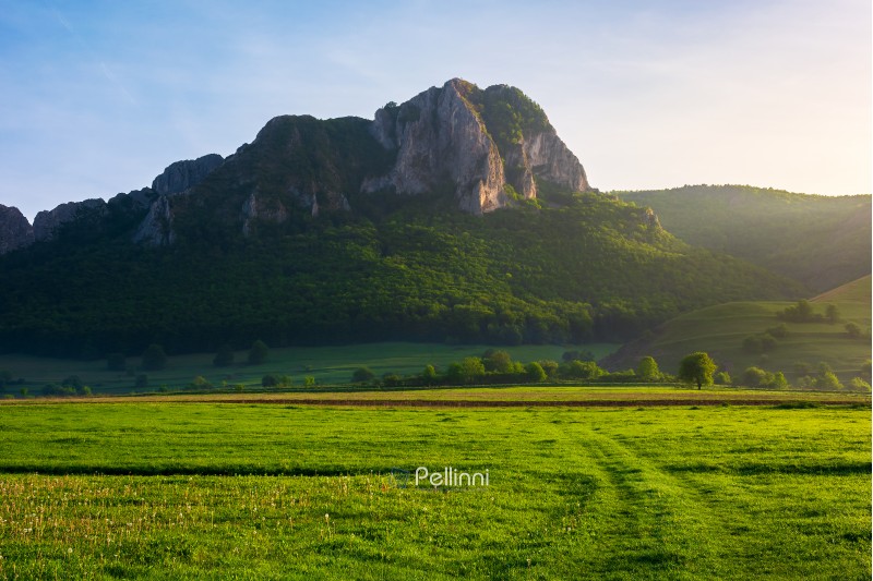 beautiful sunrise in mountains. wonderful springtime scenery with trees on a grassy meadow and huge rocky formation in the distance. location Piatra Secuiului, Romania