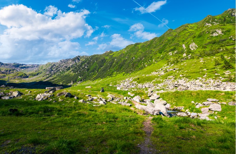 beautiful valley of Fagaras mountains. small brook flow among the rocks. grassy slopes with huge boulders