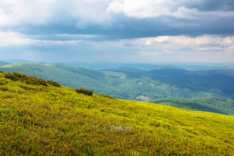 beautiful view in to the valley from the mountain top. scenic landscape with wide meadow in highlands of ukraine. sunny weather in summer with cloudy sky