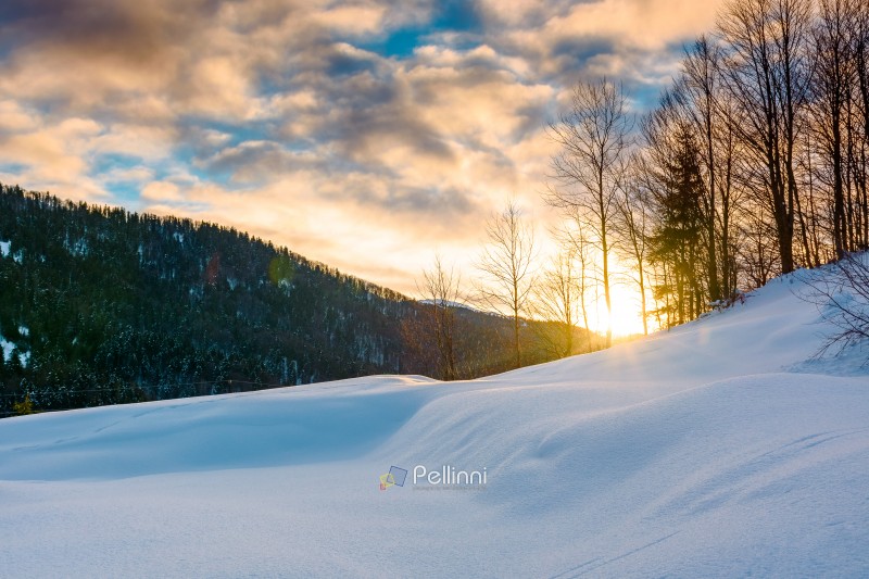 beautiful winter landscape with snow covered hills on sunny morning. serene rural scene in carpathian mountains. rolling countryside area in ukraine. christmas backdrop for holiday or vacation concept